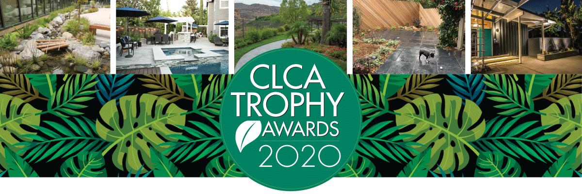 Trophy Award 2020 web header