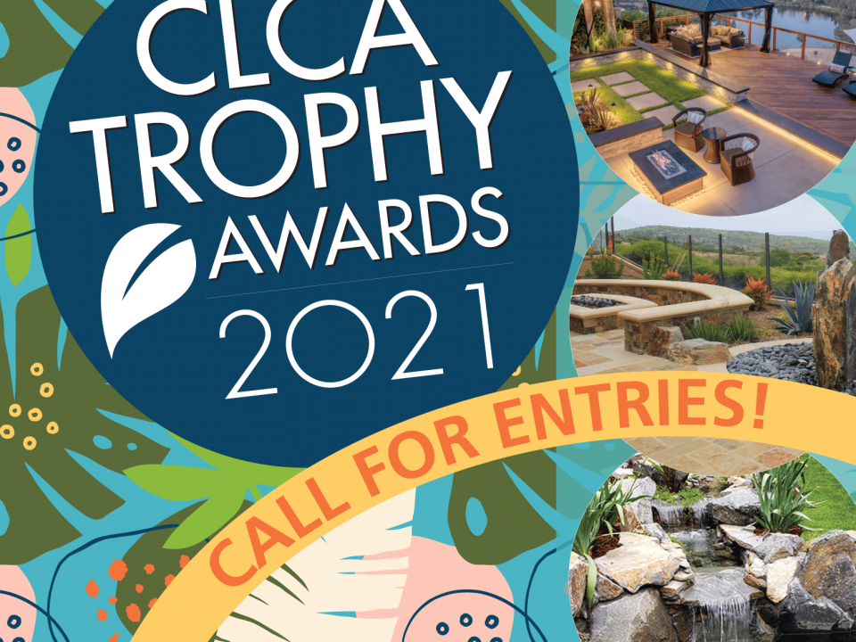 trophy awards 2021 call for entries